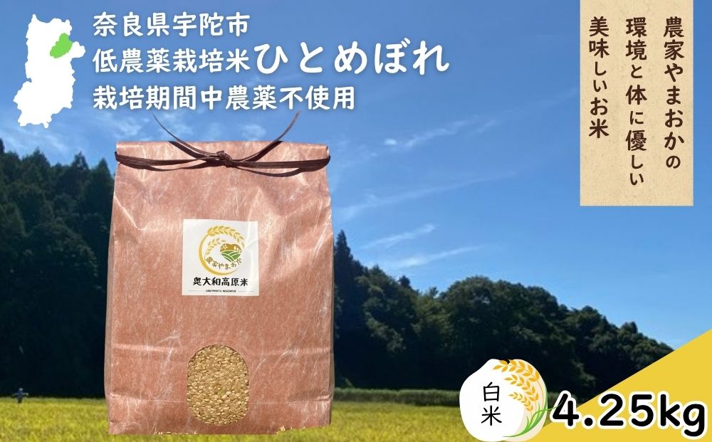 ひとめぼれ 低農薬栽培＜令和7年産 白米 4.25kg ＞ / ふるさと