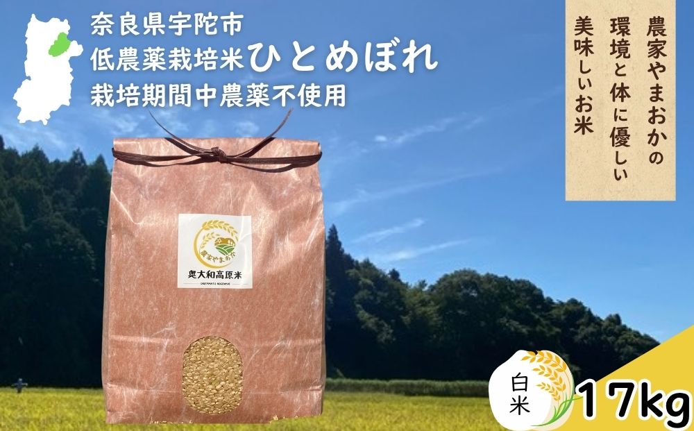 ひとめぼれ 低農薬栽培＜令和7年産 白米 17kg ＞ / ふるさと