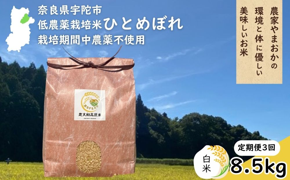 【定期便3回】ひとめぼれ 低農薬栽培＜令和7年産 白米 8.5kg