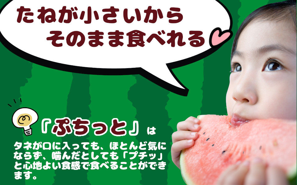 種まで美味しいスイカ「ぷちっと」 【2026年6月初旬～6月下旬ごろ発送予定】 ／ ヒロちゃんファーム 西瓜 スイカ すいか 果物 フルーツ デザート 奈良県 田原本町