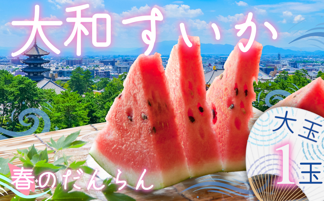 大和スイカ「春のだんらん」【2026年6月初旬～6月下旬ごろ発送予定】 ／ ヒロちゃんファーム 西瓜 スイカ すいか 果物 フルーツ デザート  奈良県 田原本町