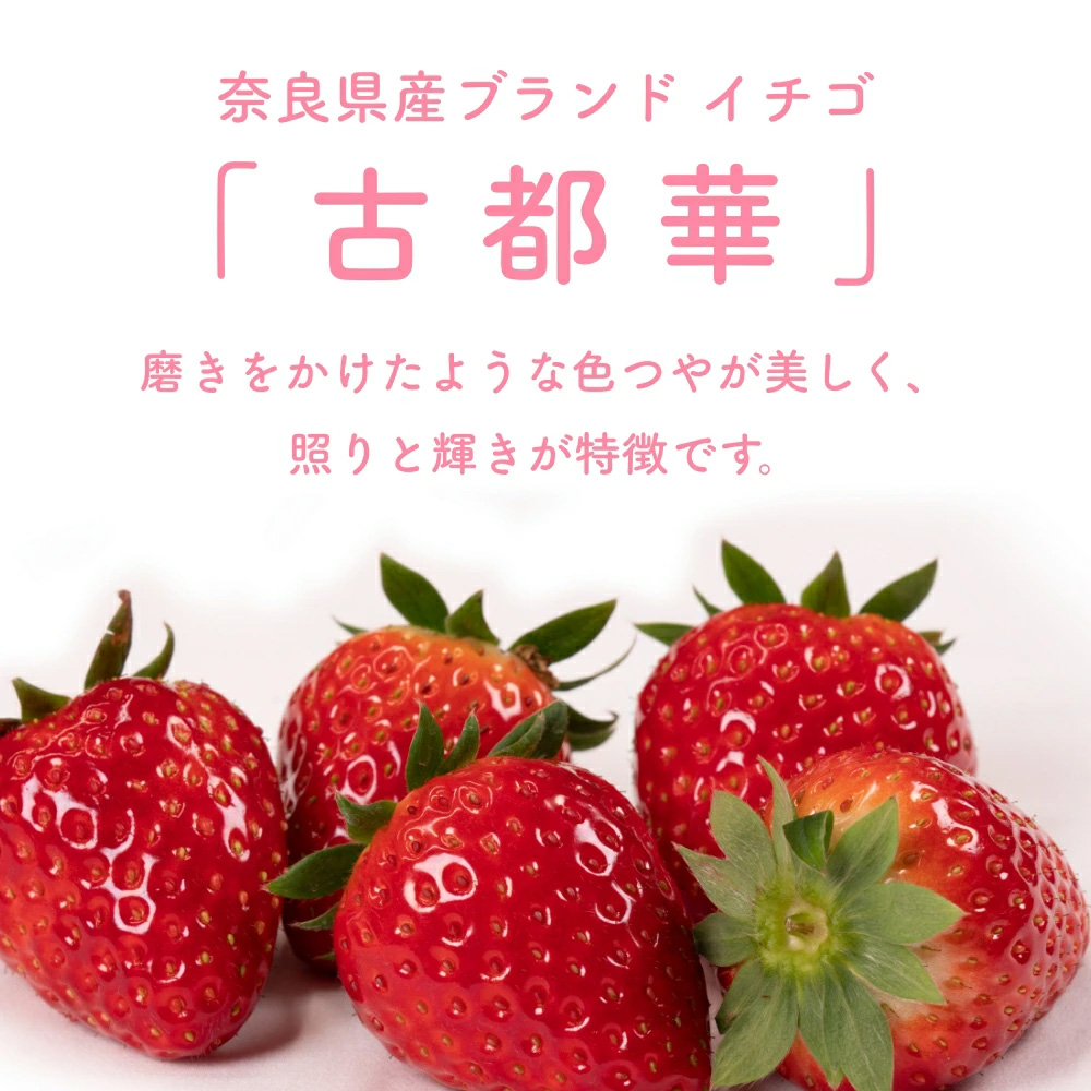 （冷蔵）【定期便全3回】（2月・3月・4月）イチゴ 奈良県産高級ブランド品種「古都華」デラックス（270g×2パック） ／ 上田農園 苺 いちご 果物 フルーツ 甘い 奈良県 田原本町