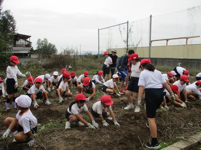 【学校応援ふるさと寄附金】田原本町立東小学校（返礼品なし）5,000円