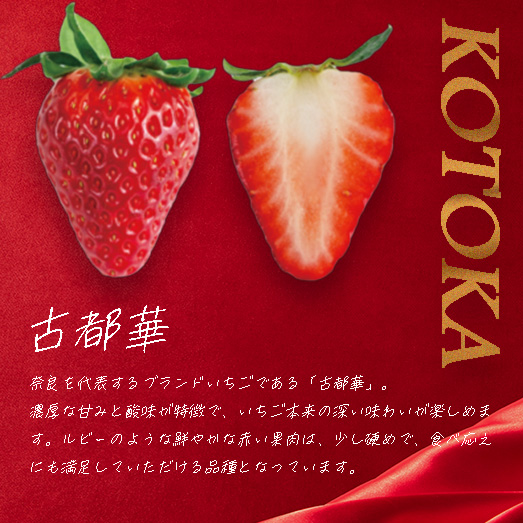 （冷蔵）３色いちご ／ 前田ストロベリー研究所 古都華 ピンク色の淡雪 パールホワイト ゆきぼたん 果物 フルーツ 甘い 奈良県 田原本町
