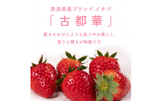 （冷蔵）【２月発送分】イチゴ 奈良県産高級ブランド品種「古都華」デラックス（270g×２パック） ／ 上田農園 苺 いちご 果物 フルーツ 甘い 奈良県 田原本町