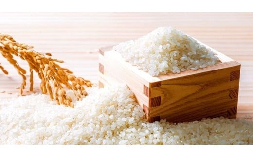 （冷蔵） 奈良 吉野 伝統の味 「ゐざさ」 定番 柿の葉寿司 （さば・さけ各10個入） ／ 中谷本舗 お取り寄せグルメ 郷土料理 押し寿司 奈良県 田原本町