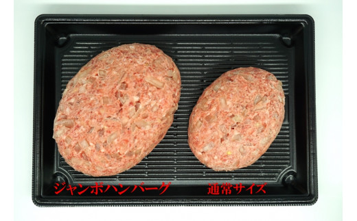 （冷凍） 牛壱 国産牛100％ ジャンボハンバーグ 3個 （300g×3個） ／ 歩商事 自家製タレ 贈答用 ギフト 煮込み 奈良県 田原本町