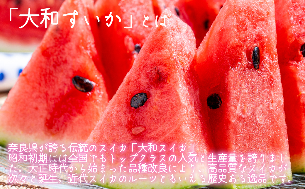 大和スイカ「春のだんらん」【2026年6月初旬～6月下旬ごろ発送予定】 ／ ヒロちゃんファーム 西瓜 スイカ すいか 果物 フルーツ デザート  奈良県 田原本町