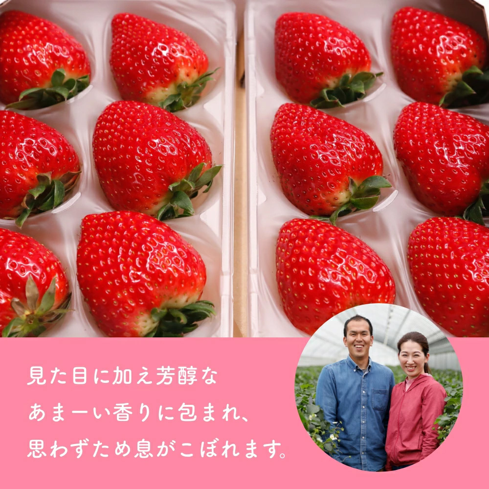 （冷蔵）【定期便全3回】（1月・2月・3月）イチゴ 奈良県産高級ブランド品種「古都華」デラックス（270g×2パック） ／ 上田農園 苺 いちご 果物 フルーツ 甘い 奈良県 田原本町