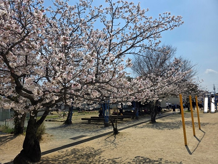 【学校応援ふるさと寄附金】田原本町立平野小学校（返礼品なし）1,000円