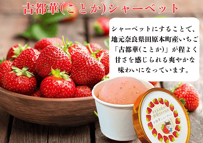 （冷凍）大人気！奈良田原本町の本格ジェラート6個セット ／ 古都華 いちご いちぢく シャーベット アイス スイーツ 道の駅レスティ唐古・鍵 奈良県 田原本町