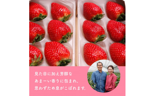 （冷蔵）【２月発送分】イチゴ 奈良県産高級ブランド品種「古都華」デラックス（270g×２パック） ／ 上田農園 苺 いちご 果物 フルーツ 甘い 奈良県 田原本町