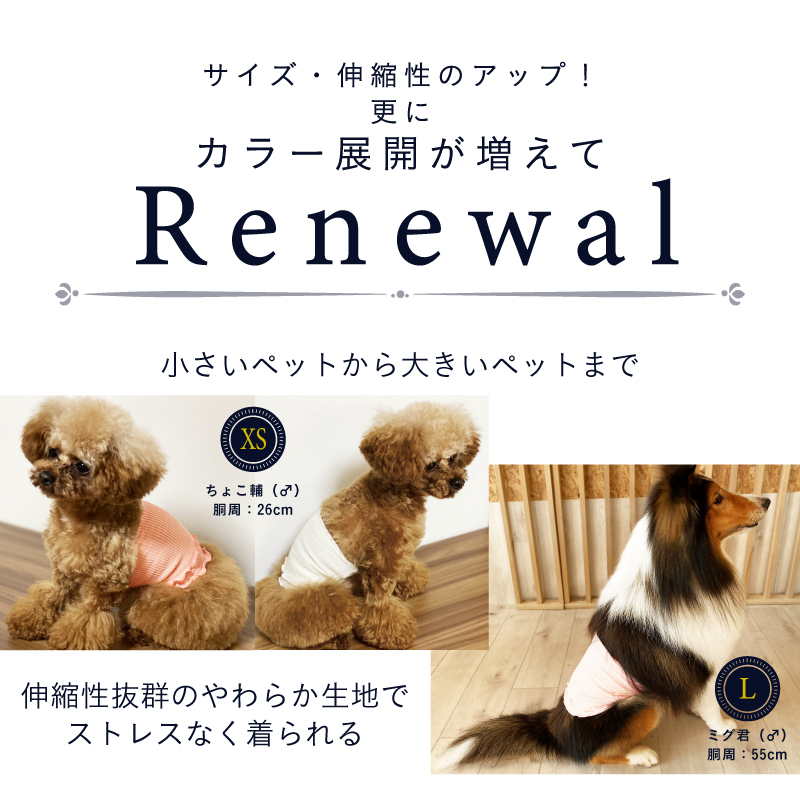 日本製 pancia Souffle シルク 腹巻 XSサイズ 【アイボリー×キャメル＋ラベンダー】 犬用 ／ まちづくり観光振興機構 ドッグウェア ペット服 ペット腹巻 奈良県 田原本町