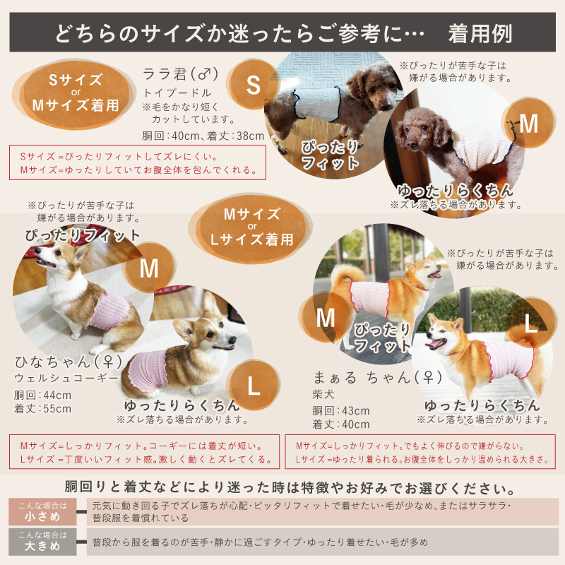 日本製 pancia シルク 腹巻 Lサイズ 【ベージュ＋ベージュ×ネイビー】 犬用 ／ まちづくり観光振興機構 ドッグウェア ペット服 ペット腹巻 冷え防止 ドッグシャツ 奈良県 田原本町