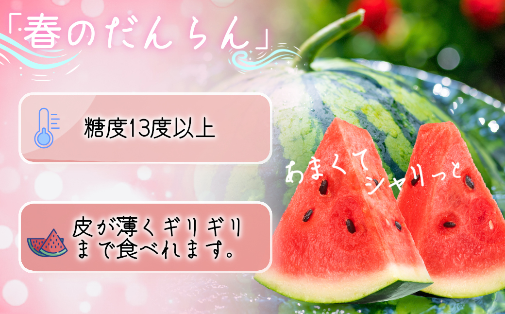 大和スイカ「春のだんらん」【2026年6月初旬～6月下旬ごろ発送予定】 ／ ヒロちゃんファーム 西瓜 スイカ すいか 果物 フルーツ デザート  奈良県 田原本町