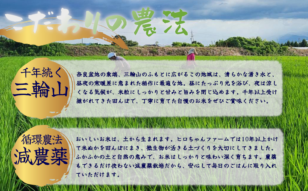 ≪先行予約≫≪数量限定≫令和8年度新米　奈良県産ヒノヒカリ10kg ／ ヒロちゃんファーム 米 精米 新米 減農薬栽培 奈良県 田原本町