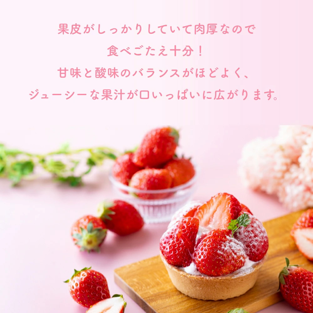 （冷蔵）【定期便全3回】（1月・2月・3月）イチゴ 奈良県産高級ブランド品種「古都華」デラックス（270g×2パック） ／ 上田農園 苺 いちご 果物 フルーツ 甘い 奈良県 田原本町