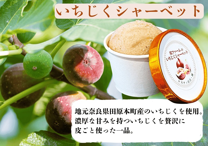 （冷凍）大人気！奈良田原本町の本格ジェラート6個セット ／ 古都華 いちご いちぢく シャーベット アイス スイーツ 道の駅レスティ唐古・鍵 奈良県 田原本町