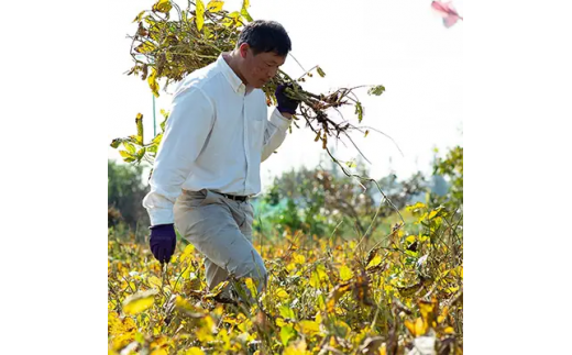 （冷蔵） 田原本町の鎌田ファームで育てた奈良県産 大和大鉄砲大豆使用 大鉄砲豆冨詰合せ 5種類 ／ 三木豆腐 もめん よせ きぬこし 濃とろ 豆乳 大豆 ヘルシー ダイエット 幻 奈良県 田原本町