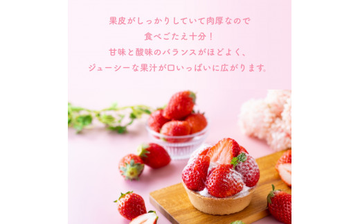 （冷蔵）【２月発送分】イチゴ 奈良県産高級ブランド品種「古都華」デラックス（270g×２パック） ／ 上田農園 苺 いちご 果物 フルーツ 甘い 奈良県 田原本町