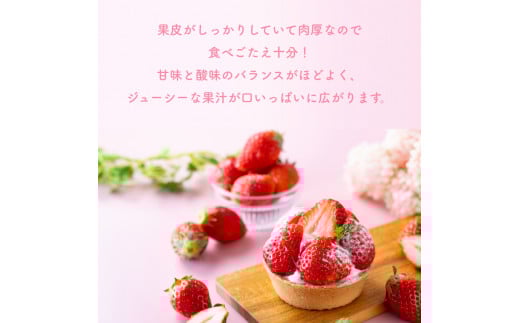 （冷蔵）【５月発送分】イチゴ 奈良県産高級ブランド品種「古都華」デラックス（270g×２パック） ／ 上田農園 苺 いちご 果物 フルーツ 甘い 奈良県 田原本町