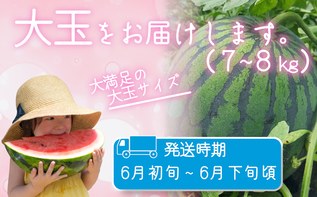 大和スイカ「春のだんらん」【2026年6月初旬～6月下旬ごろ発送予定】 ／ ヒロちゃんファーム 西瓜 スイカ すいか 果物 フルーツ デザート  奈良県 田原本町