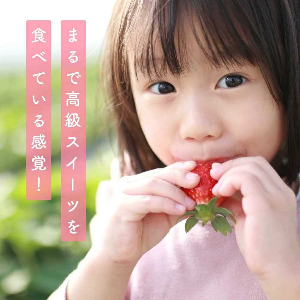 （冷蔵）【定期便全3回】（1月・2月・3月）イチゴ 奈良県産高級ブランド品種「古都華」デラックス（270g×2パック） ／ 上田農園 苺 いちご 果物 フルーツ 甘い 奈良県 田原本町