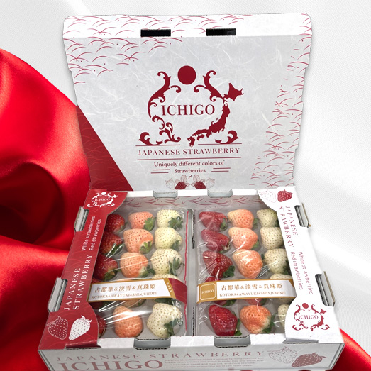 （冷蔵）３色いちご ／ 前田ストロベリー研究所 古都華 ピンク色の淡雪 パールホワイト ゆきぼたん 果物 フルーツ 甘い 奈良県 田原本町