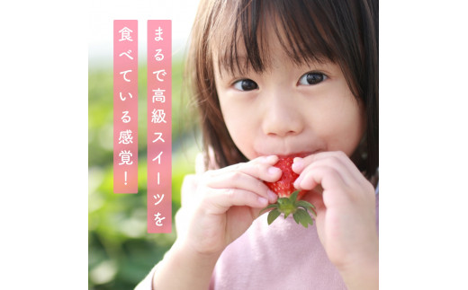 （冷蔵）【５月発送分】イチゴ 奈良県産高級ブランド品種「古都華」デラックス（270g×２パック） ／ 上田農園 苺 いちご 果物 フルーツ 甘い 奈良県 田原本町