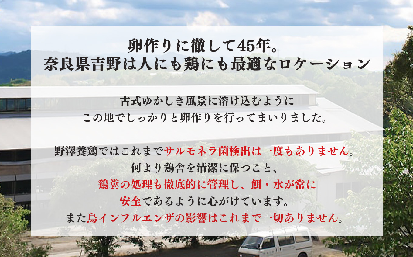 吉野 MICA卵 Lサイズ 80個 （72個＋割れ保証8個） 【田原本町×吉野町共通返礼品】 ／ 野澤養鶏 おいしい たまご 玉子 生卵 鶏卵 濃厚 奈良県鶏卵品評会最優秀賞受賞 奈良県