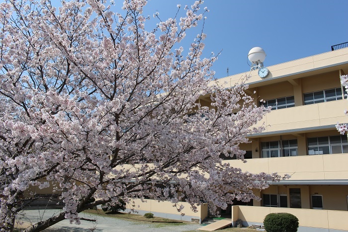 【学校応援ふるさと寄附金】田原本町立東小学校（返礼品なし）10,000円