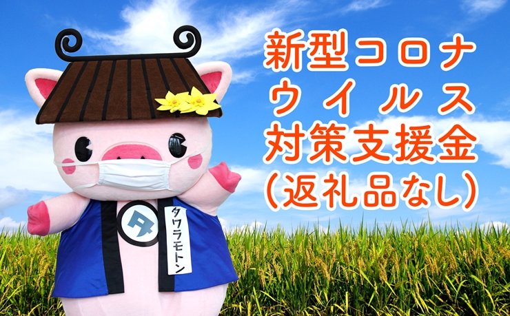 奈良県田原本町 新型コロナウイルス感染症対策寄附金《50,000円》（返礼品はございません）