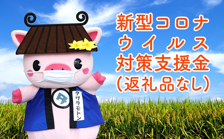 奈良県田原本町 新型コロナウイルス感染症対策寄附金《30,000円》（返礼品はございません）