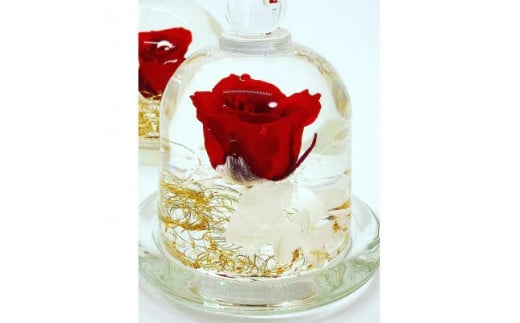 クリスタルドーム 「真実の愛・赤い薔薇」 ／ fleur misaki お祝い インテリア 雑貨 ハーバリウム プレゼント ギフト 奈良県 田原本町