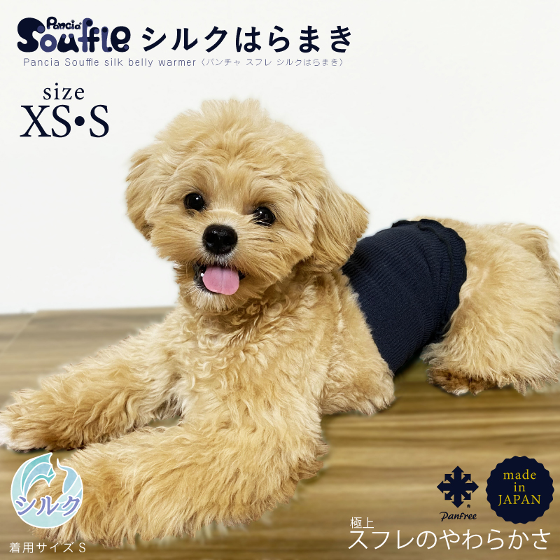 日本製 pancia Souffle シルク 腹巻 XSサイズ 【アイボリー×キャメル＋ラベンダー】 犬用 ／ まちづくり観光振興機構 ドッグウェア ペット服 ペット腹巻 奈良県 田原本町