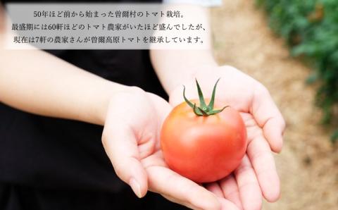 曽爾村のトマトの旨味そのまま！トマトソース３種セット // トマト トマトソース パスタ 無添加 保存料不使用 プレーン 柚子はちみつ きのこ当帰