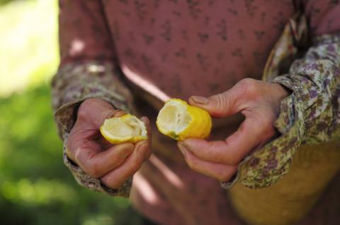 【曽爾高原ゆず生産組合】生搾り(要冷蔵)柚子果汁100%