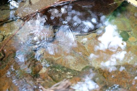 【令和7年度産(特別栽培米)】曽爾村ブランド米(コシヒカリ)10kg(白米)