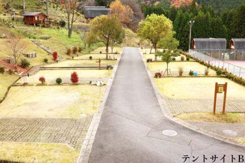 サンビレッジ曽爾オートキャンプ場テントサイト宿泊券///関西,近畿,奈良県,奈良,キャンプ,キャンプ場,テントサイト,宿泊,旅行,バーベキュー