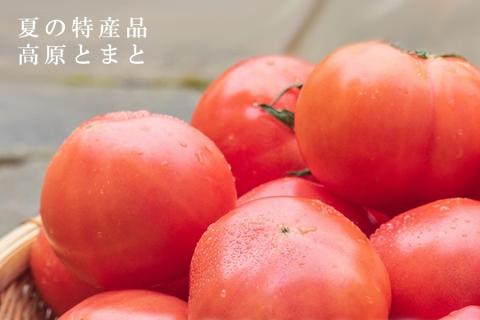 トマト焼酎セット///トマト,とまと,トマトチューハイ,とまとチューハイ,野菜,米焼酎,チューハイ,酎ハイ,宅飲み,オリジナル,焼酎,無糖