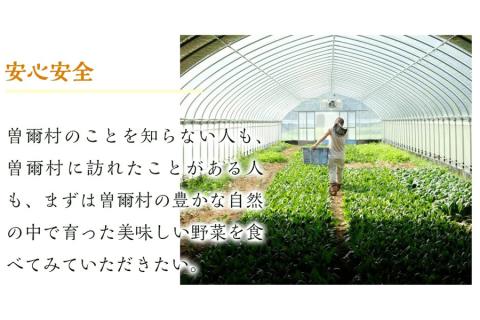 【2026年6月より順次発送】曽爾高原夏野菜5種5品6ヶ月定期便