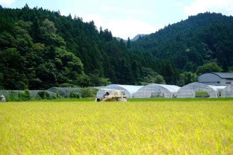 【令和7年度産(特別栽培米)】曽爾村ブランド米(コシヒカリ)5kg(白米)