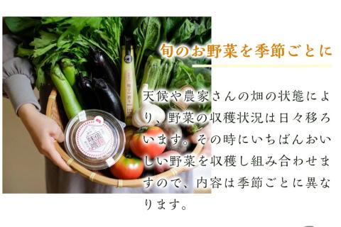 【2026年7月より順次発送】曽爾高原夏野菜５種５品３ヶ月定期便