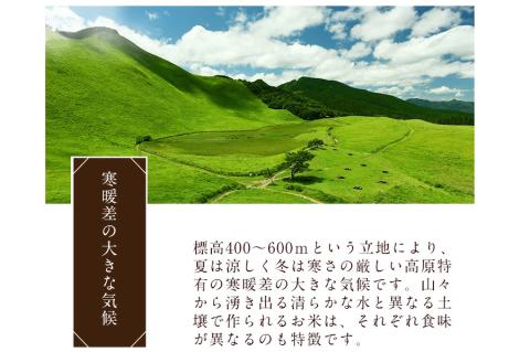 新米 令和6年度産 次回1月24日発送 普段使いのお米の理想形 令和6年産 ひとめぼれ 無洗米 10kg /// 無洗米 ひとめぼれ 一等米 単一原料米 5つ星お米マイスター
