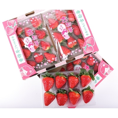 完熟　古都華(ことか)2箱(4パック)【配送不可地域：離島】