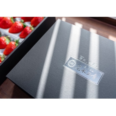 ※糖度11度以上※ 朱雀のなみだ プレミアム (by 花水土香) 完熟朝採り苺(250g以上×2p)【配送不可地域：離島】