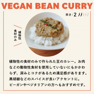 【NO CURRY, NO LIFE.】豆のビーガンカリー[辛さ2 l 冷凍]【配送不可地域：離島】