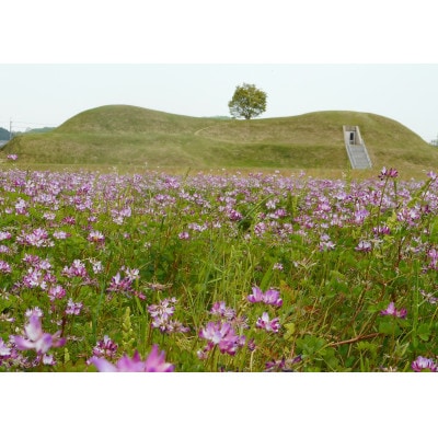 ふるさと『山城　高取城下山麓のお米』/精米(5kg×1個)