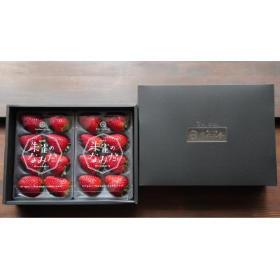 ※糖度11度以上※ 朱雀のなみだ プレミアム (by 花水土香) 完熟朝採り苺(250g以上×2p)【配送不可地域：離島】