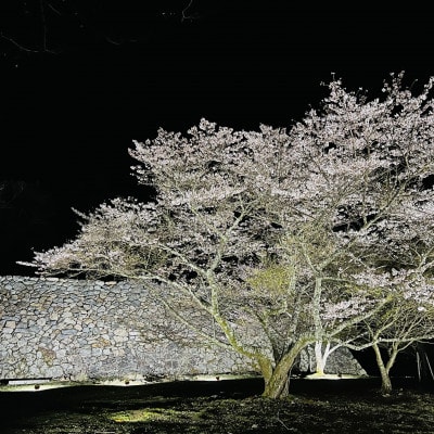 高取城ナイトウォーク(貸切ツアー)1グループ5名迄